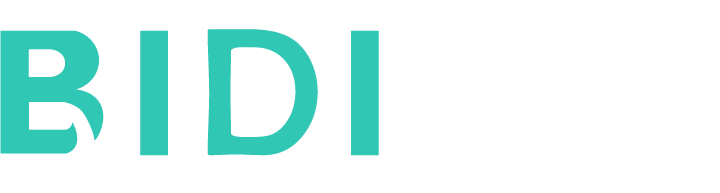 Bidinz Co.